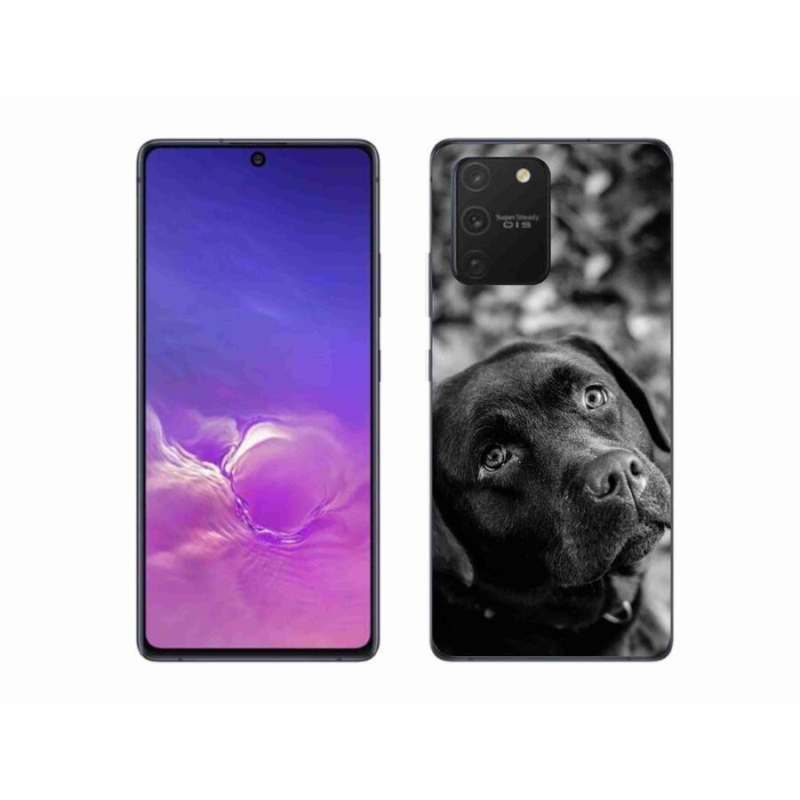Gél tok mmCase a Samsung Galaxy S10 Lite készülékhez - labrador