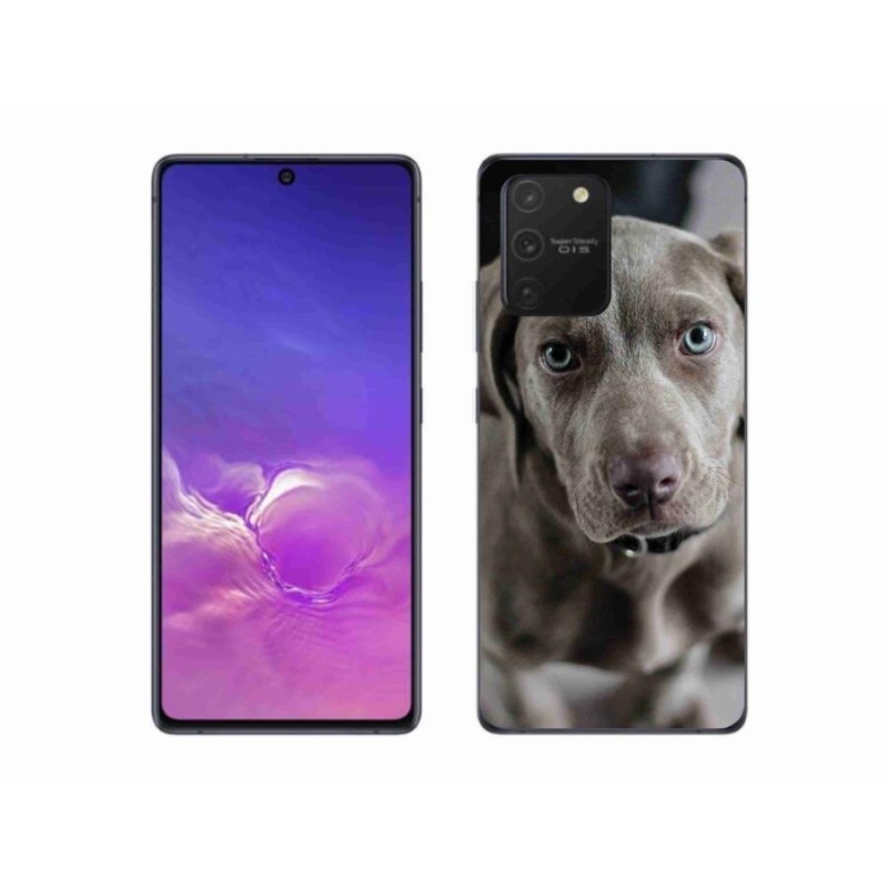 Gél tok mmCase a Samsung Galaxy S10 Lite készülékhez - výmarský ohař