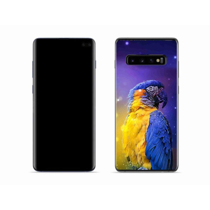 Gél tok mmCase Samsung Galaxy S10 készülékhez - papagáj ara 1