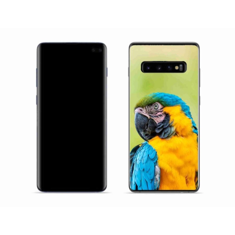 Gél tok mmCase Samsung Galaxy S10 készülékhez - papagáj ara 2