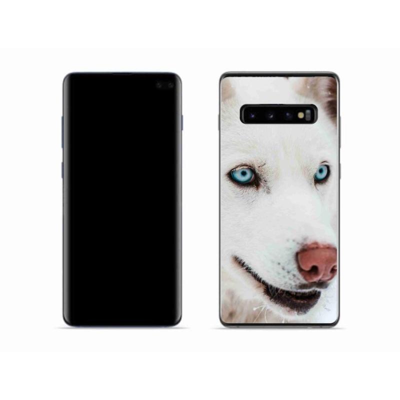 Gél tok mmCase a Samsung Galaxy S10 készülékhez - kutyaszemmel nézve