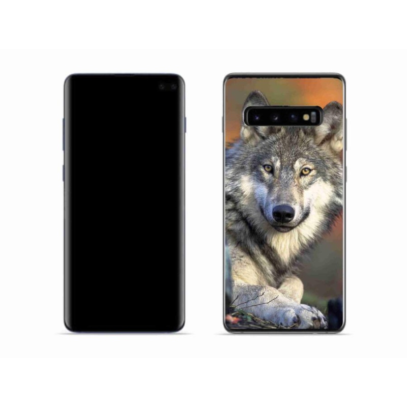Gél tok mmCase a Samsung Galaxy S10 készülékhez - farkas