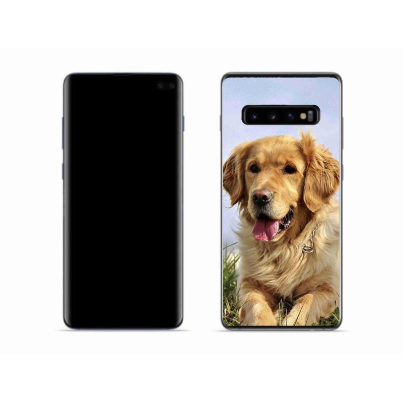 Gél tok mmCase mobiltelefonhoz Samsung Galaxy S10 - arany retriever