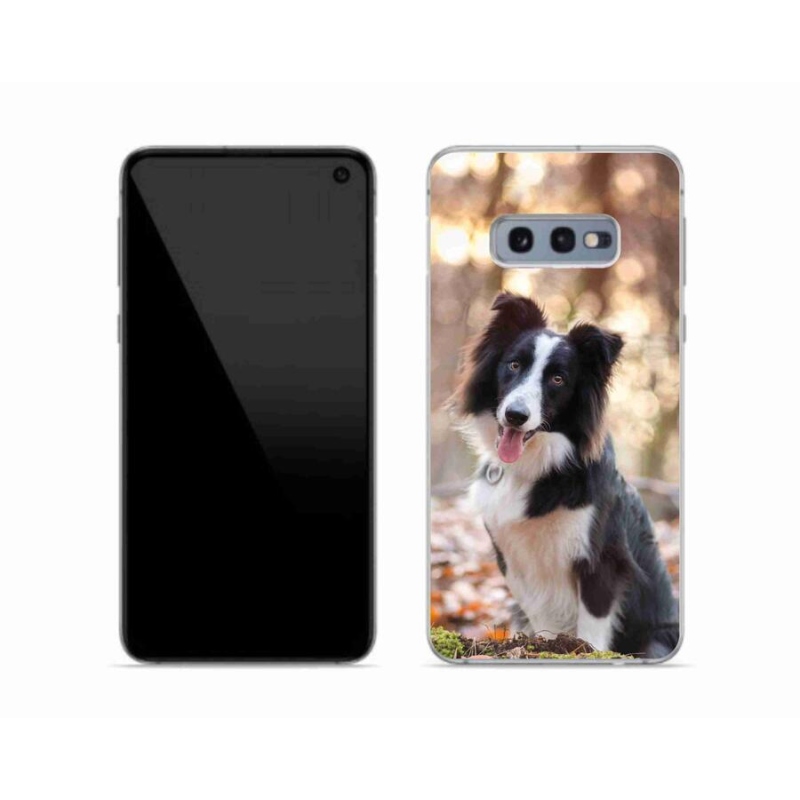 Gél tok mmCase a Samsung Galaxy S10e készülékhez - border colie 1
