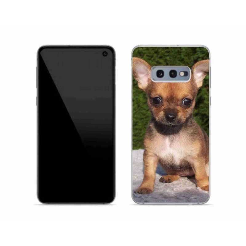 Gél tok mmCase mobil Samsung Galaxy S10e - chihuahua 3
