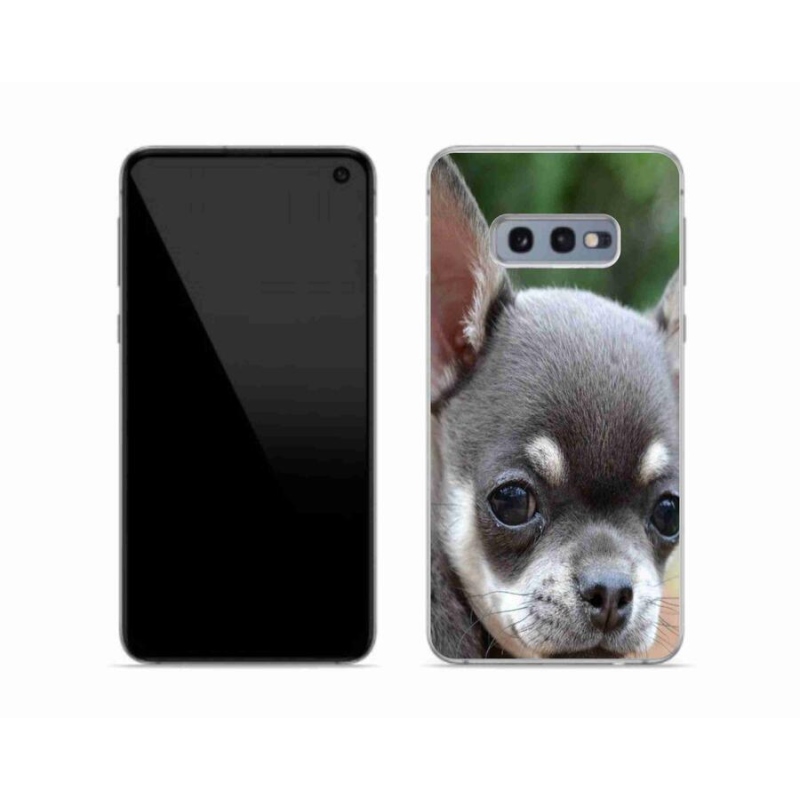 Gél tok mmCase Samsung Galaxy S10e készülékhez - chihuahua
