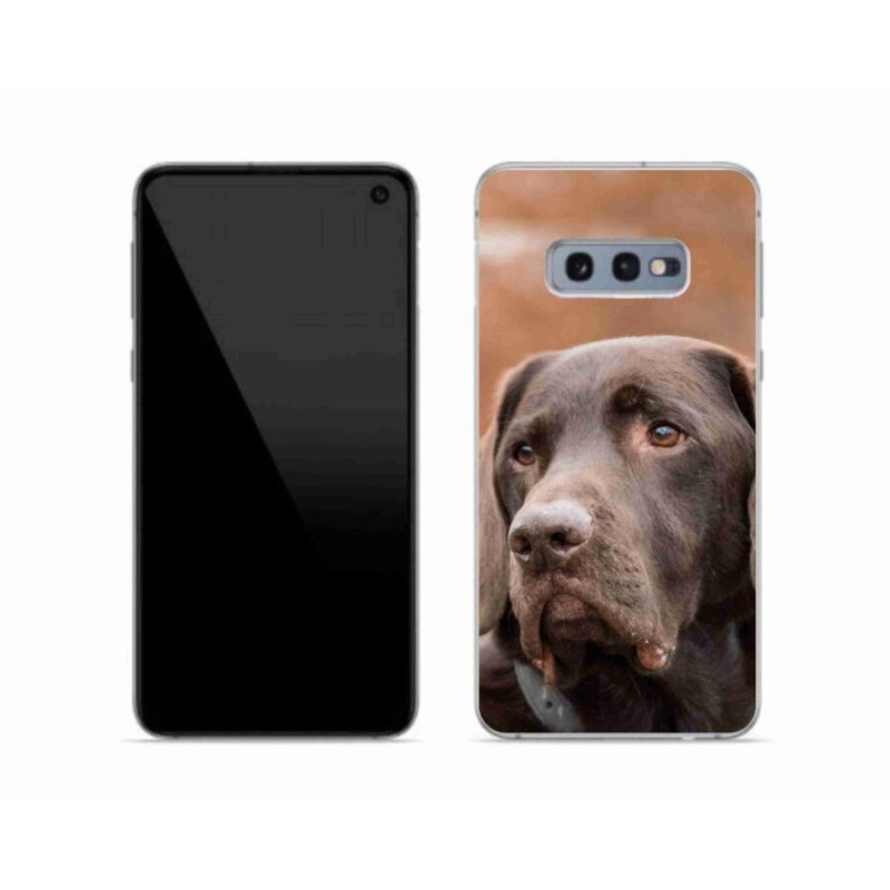 Gél tok mmCase Samsung Galaxy S10e készülékhez - barna labrador