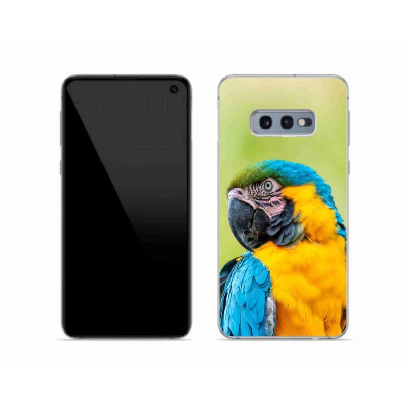 Gél tok mmCase Samsung Galaxy S10e készülékhez - papagáj ara 2