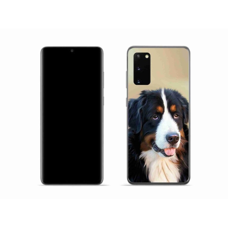 Gél tok mmCase Samsung Galaxy S20 készülékhez - Berni hegyi kutya