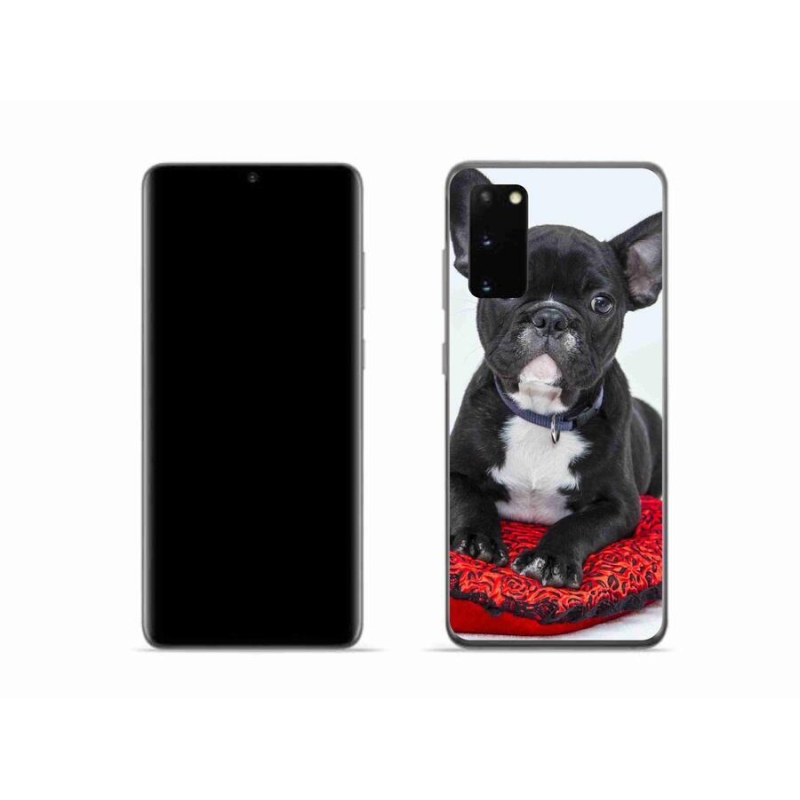 Gél tok mmCase Samsung Galaxy S20 készülékhez - bulldog