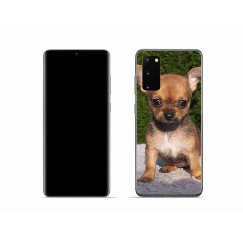Gél tok mmCase mobil Samsung Galaxy S20 - chihuahua 3