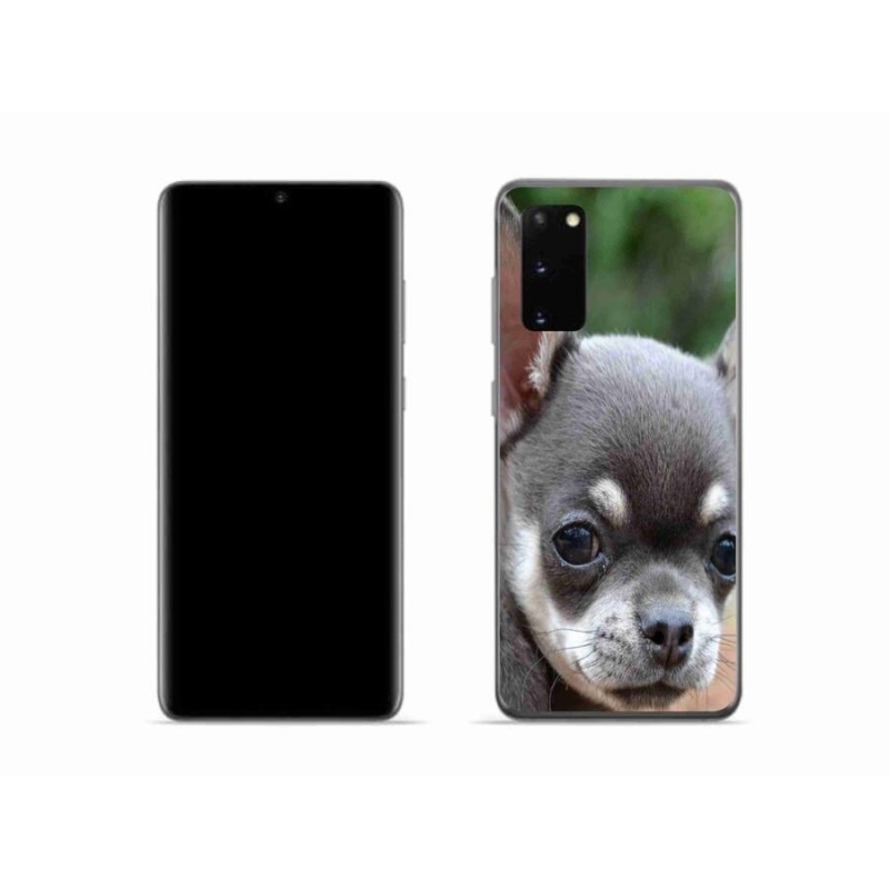 Gél tok mmCase Samsung Galaxy S20 készülékhez - chihuahua