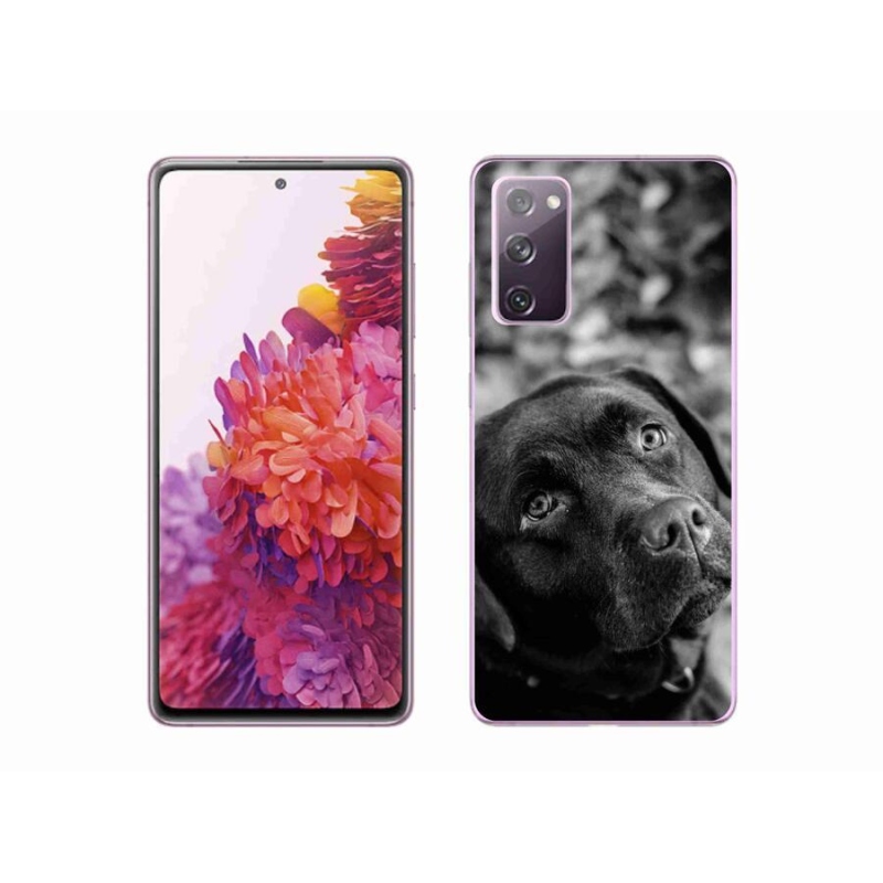 Gél tok mmCase Samsung Galaxy S20 FE készülékhez - labrador színű