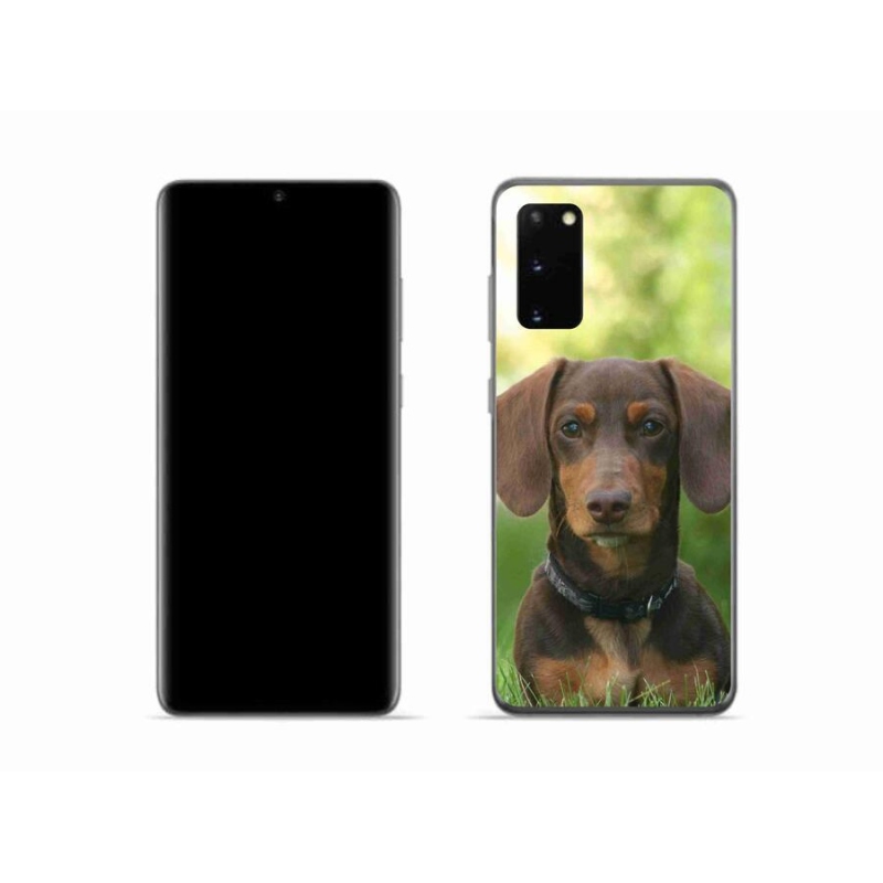 Gél tok mmCase Samsung Galaxy S20 készülékhez - barna tacskó