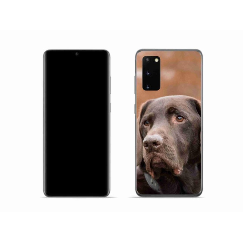 Zselés tok mmCase Samsung Galaxy S20 készülékhez - barna labrador