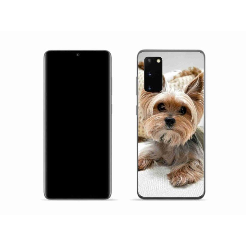 Gél tok mmCase mobiltelefonhoz Samsung Galaxy S20 - Yorkshire 5