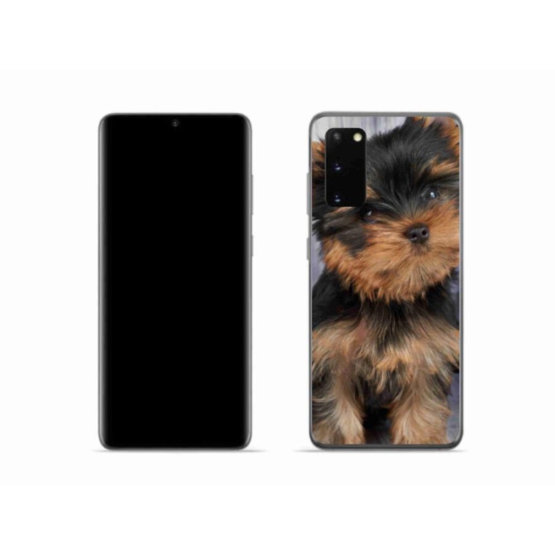 Gél tok mmCase mobiltelefonhoz Samsung Galaxy S20 - Yorkshire 9