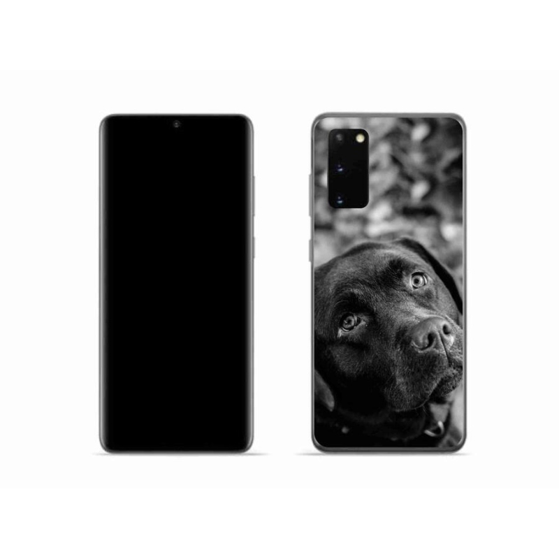 Gél tok mmCase Samsung Galaxy S20 készülékhez - labrador