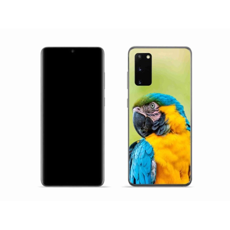 Gél tok mmCase Samsung Galaxy S20 készülékhez - papagáj ara 2