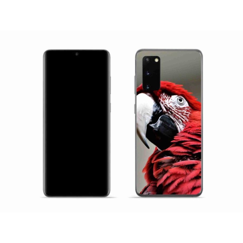 Gél tok mmCase Samsung Galaxy S20 készülékhez - papagáj ara piros