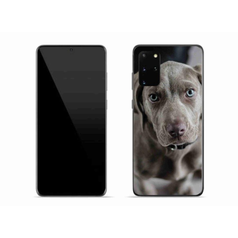 Gél tok mmCase a Samsung Galaxy S20 Plus készülékhez - výmarský ohař