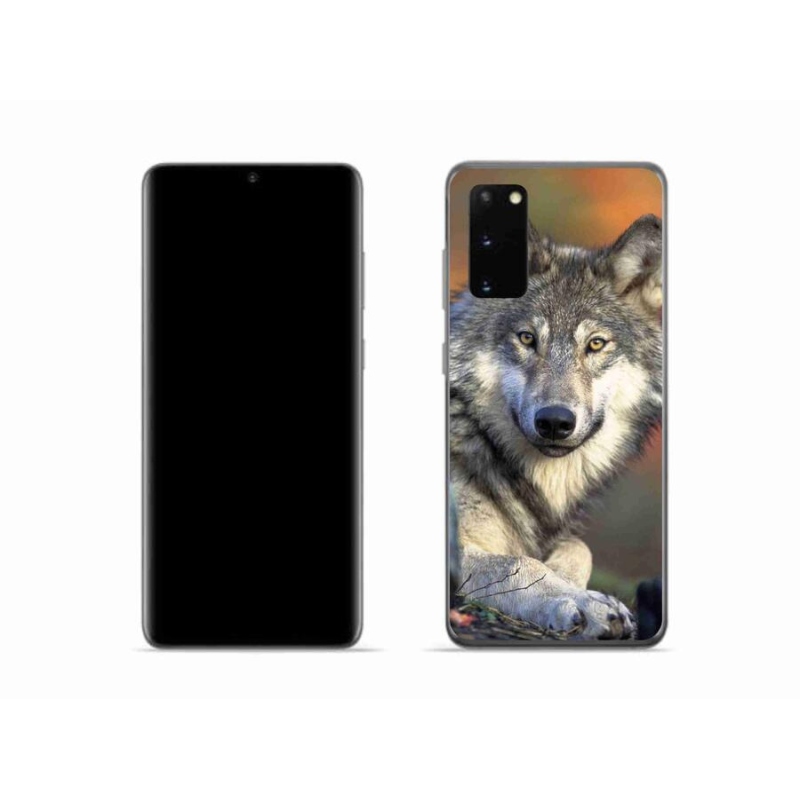 Gél tok mmCase Samsung Galaxy S20 készülékhez - farkas