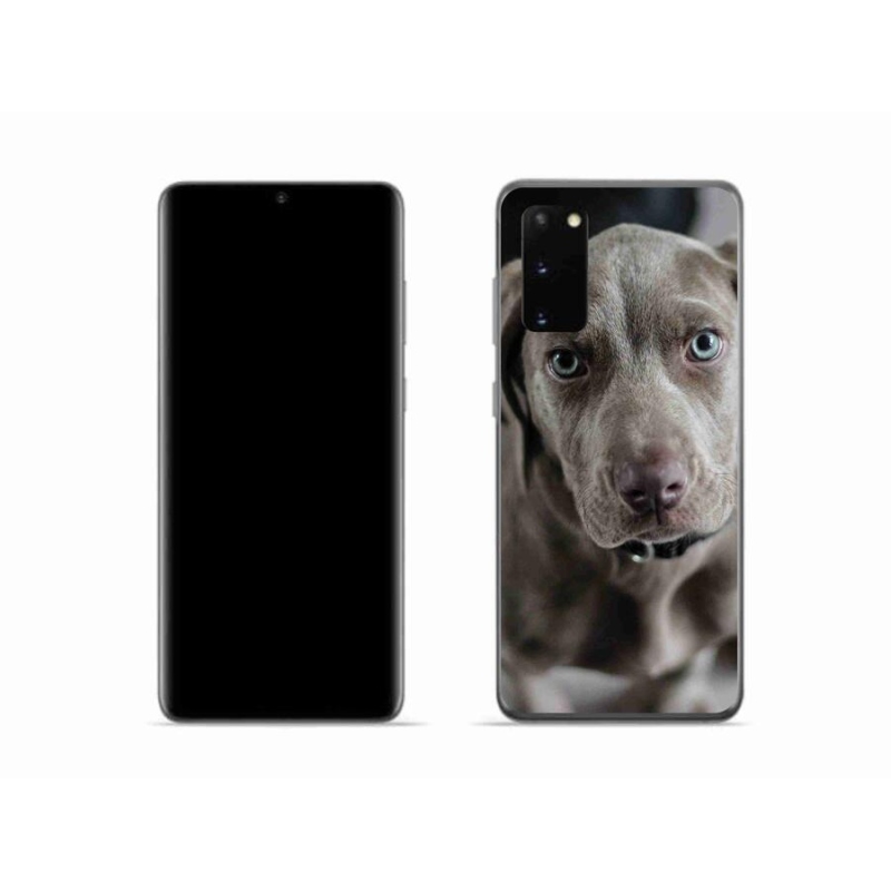 Gél tok mmCase Samsung Galaxy S20 mobiltelefonhoz - výmarský ohař