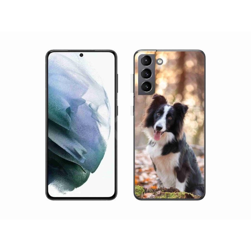 Gél tok mmCase a Samsung Galaxy S21 készülékhez - border colie 1