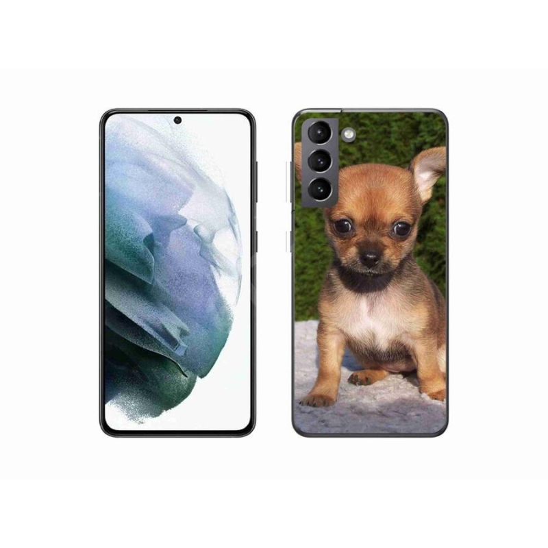 Gél tok mmCase mobil Samsung Galaxy S21 - chihuahua 3