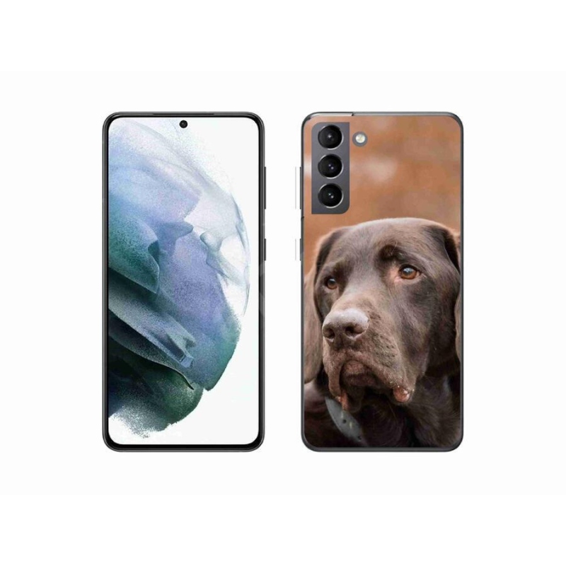 Zselés tok mmCase Samsung Galaxy S21 készülékhez - barna labrador