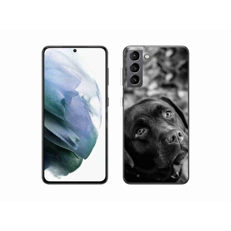 Gél tok mmCase a Samsung Galaxy S21 készülékhez - labrador