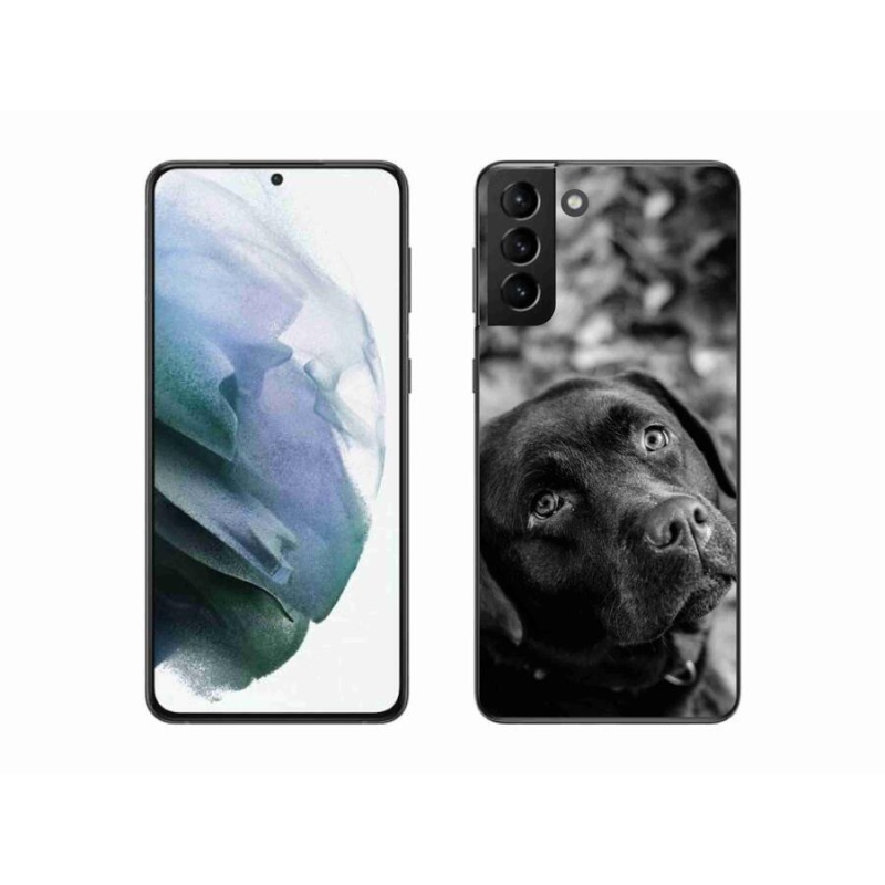Gél tok mmCase a Samsung Galaxy S21 Plus készülékhez - labrador