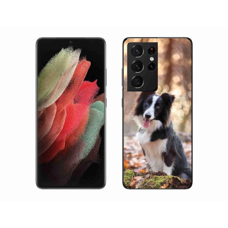 Gél tok mmCase Samsung Galaxy S21 Ultra 5G - border colie 1