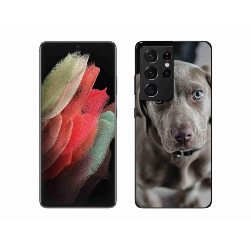 Gélhüvely mmCase Samsung Galaxy S21 Ultra 5G - výmarský ohař