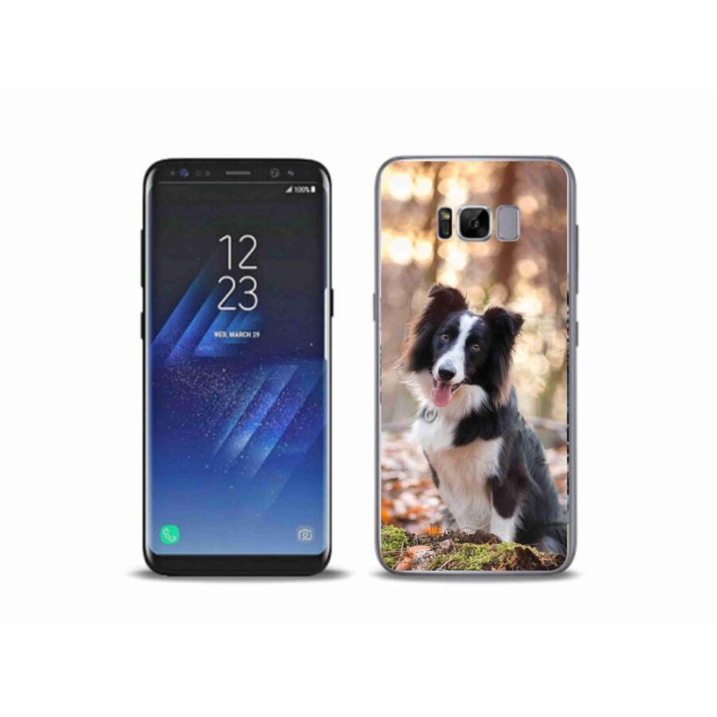 Gél tok mmCase a Samsung Galaxy S8 Plus készülékhez - border colie 1