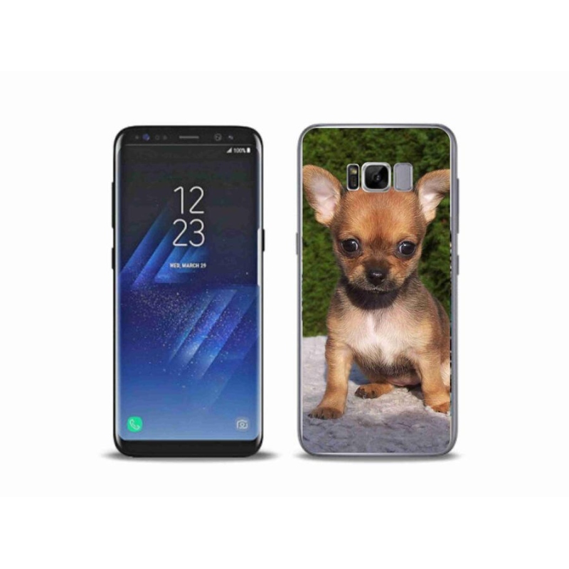 Gél tok mmCase mobiltelefonhoz Samsung Galaxy S8 Plus - chihuahua 3
