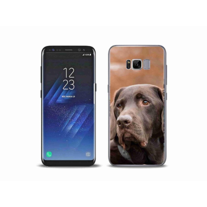 Zselés tok mmCase Samsung Galaxy S8 Plus készülékhez - barna labrador
