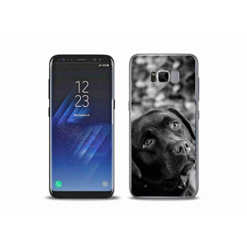 Gél tok mmCase Samsung Galaxy S8 Plus készülékhez - labrador