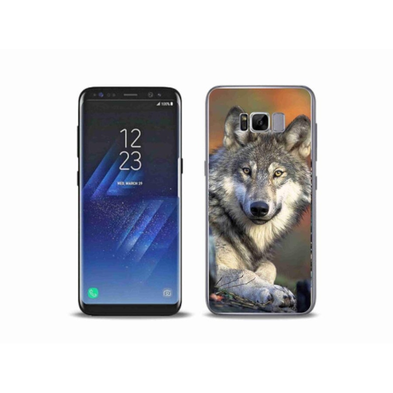 Gél tok mmCase Samsung Galaxy S8 Plus készülékhez - farkas