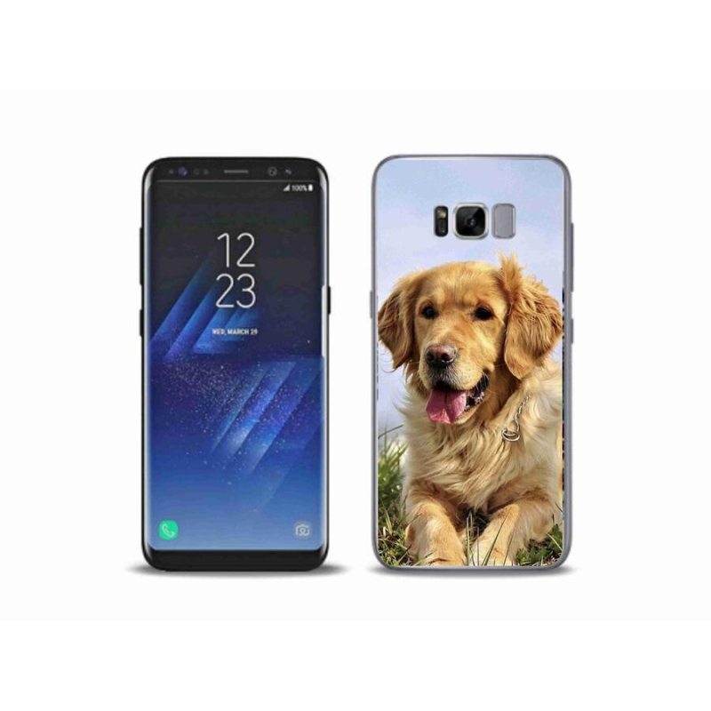 Gél tok mmCase Samsung Galaxy S8 Plus készülékhez - arany retriever
