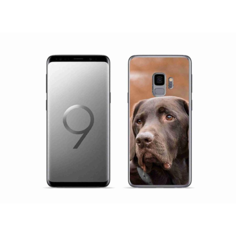 Gél tok mmCase Samsung Galaxy S9 készülékhez - barna labrador