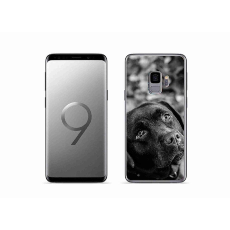 Gél tok mmCase Samsung Galaxy S9 készülékhez - labrador