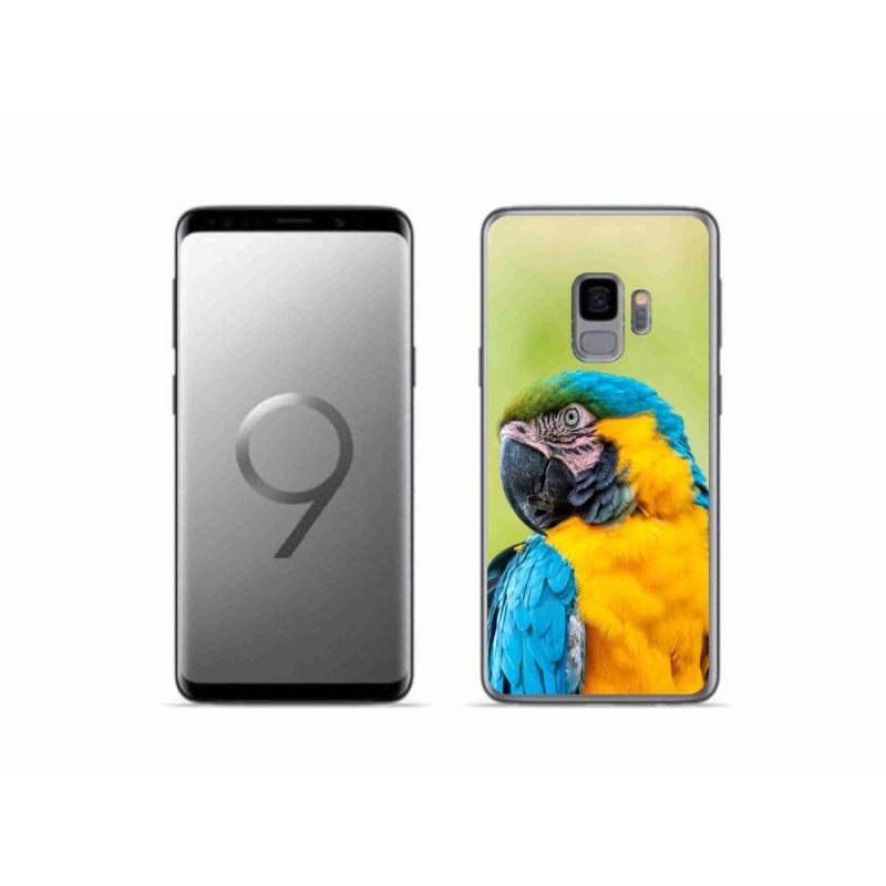 Gél tok mmCase Samsung Galaxy S9 készülékhez - papagáj ara 2