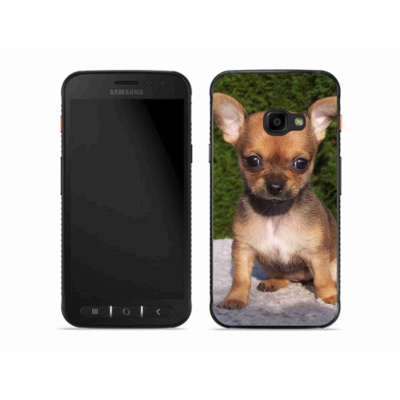 Gél tok mmCase mobil Samsung Galaxy Xcover 4S - chihuahua 3