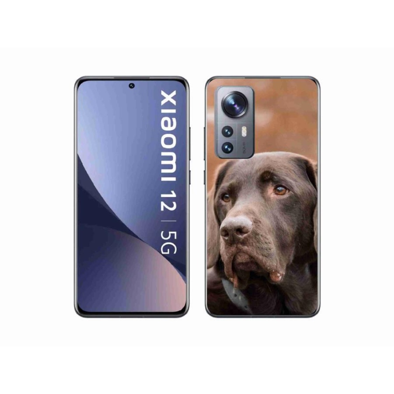 Gél tok mmCase a Xiaomi 12-hez - barna labrador