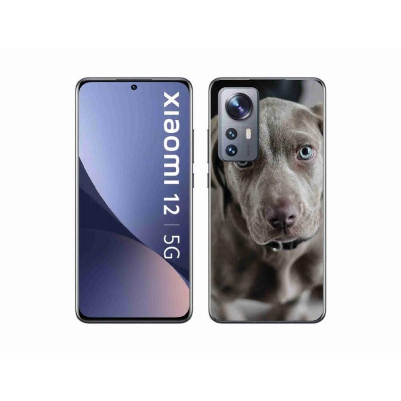 Gél hüvely mmCase a Xiaomi 12 mobil - výmarský ohař