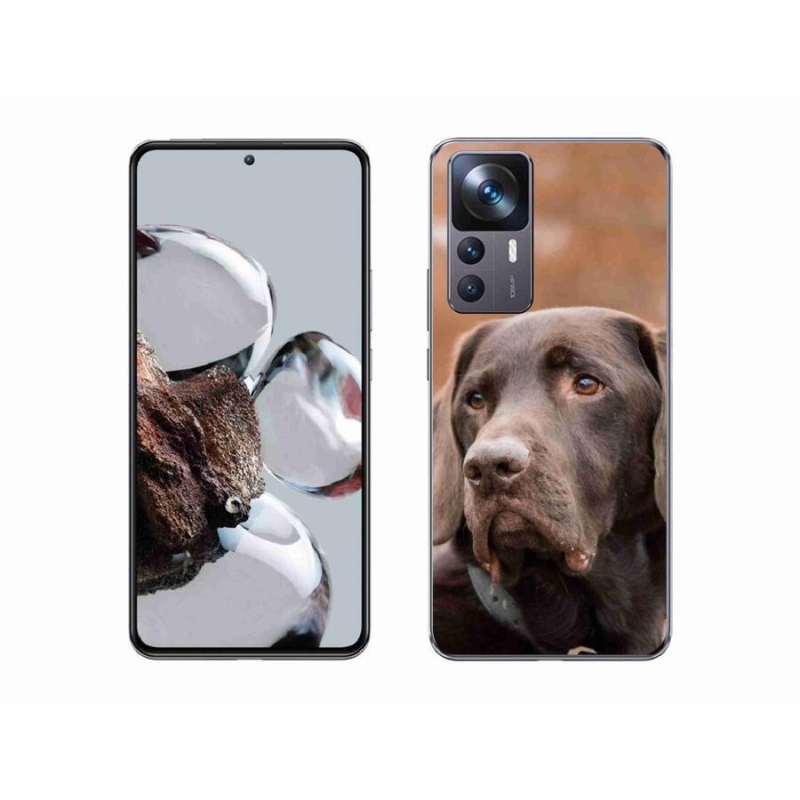 Gél tok mmCase a Xiaomi 12T Pro számára - barna labrador