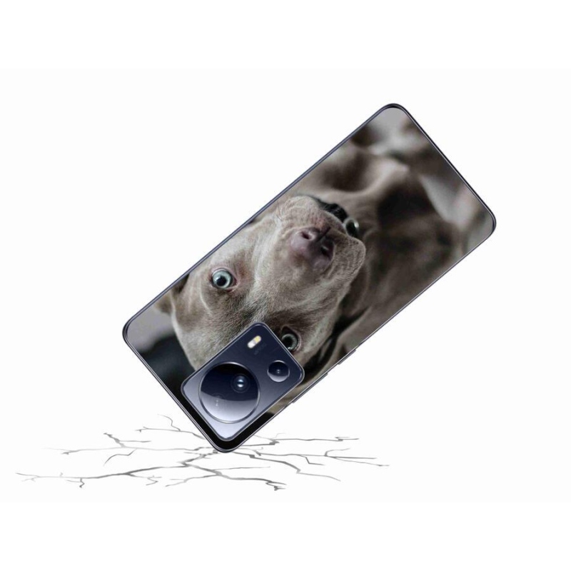 Gél tok mmCase for Xiaomi 13 Lite - výmarský ohař