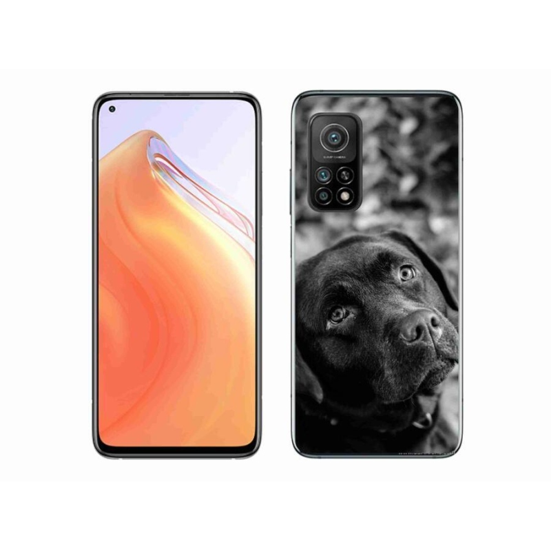 Gél tok mmCase a Xiaomi Mi 10T Pro 5G számára - labrador