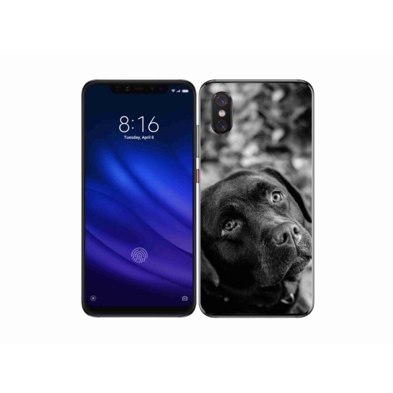 Gél tok mmCase a Xiaomi Mi 8 Pro készülékhez - labrador